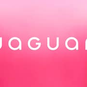 Jaguar Sob Fogo: Ainda é sobre carros? Rebranding causa criticas nas Redes Sociais Jaguar-Rebrand