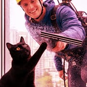 Quando um Limpador de Janelas e um Gato Viraram Amigos e a Internet Parou Capa